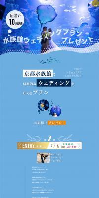 Aquarium Wedding Gift LP design (Wedding / Shades of blue / Refreshing type) PC version
