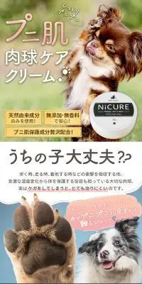 NICUREのLPデザイン（ペットフード ・ ペット用品／ピンク系／かわいい系）PC版