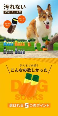 Stain-resistant dog socks LP design (Pet food and pet supplies / yellow / Stylish type) PC version