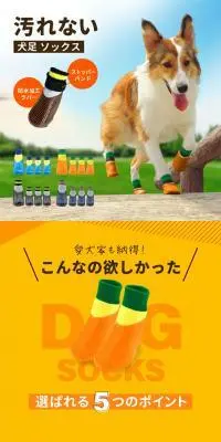 汚れない犬用ソックスのLPデザイン（ペットフード ・ ペット用品／イエロー系／スタイリッシュ系）PC版