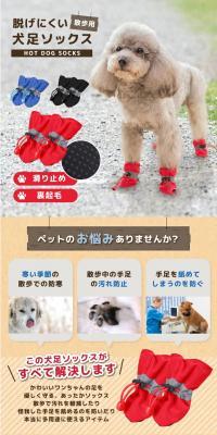 Non-slip Dog Socks LP design (Pet food and pet supplies / Beige tones / Stylish type) PC version
