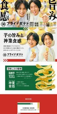 湖池屋プライドポテトのLPデザイン（スナック・ガム・あめ・グミ／グリーン系／にぎやか系）PC版