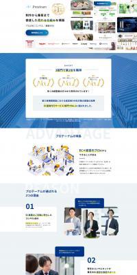 Proteinum-Protenam LP design (Ad operations / Shades of blue / Simple) PC version