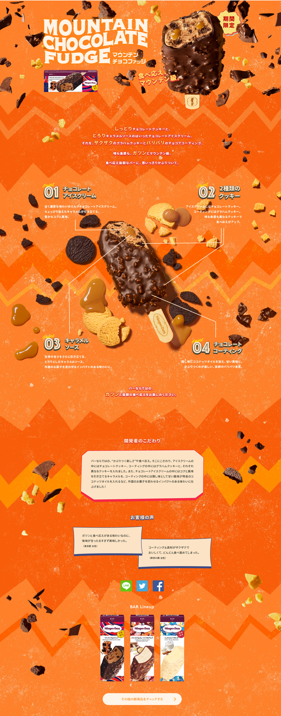 マウンテンチョコファッジのLPデザイン（洋菓子／オレンジ系／かわいい系）PC版