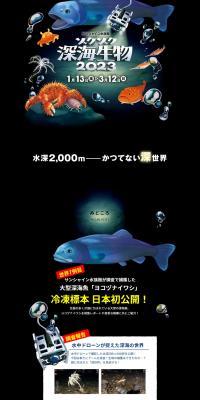Zokuzoku Deep-Sea Creatures 2023 LP design (Events, Campaigns, Experiences / Black-colored / Lively type) PC version