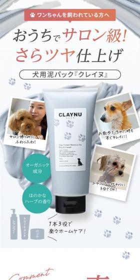 Craynu LP design (Pet food and pet supplies / Green tones / Cute style) PC version