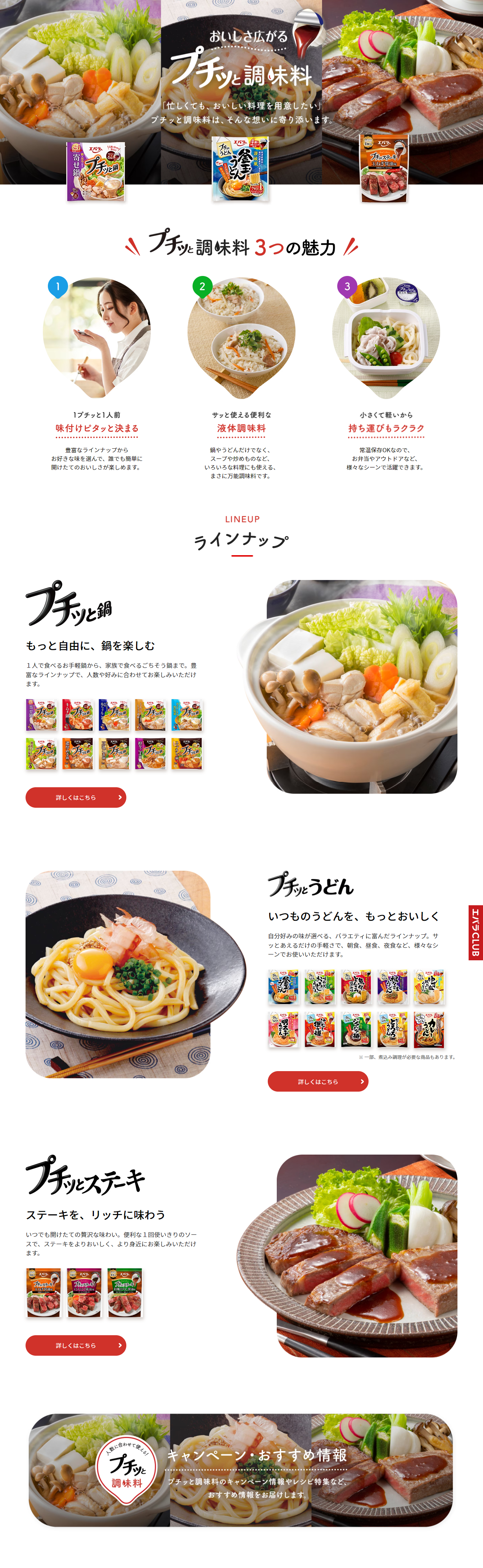 プチッと調味料のLPデザイン（調味料・甘味料・ダシ・スープ／レッド系／シンプル系）PC版
