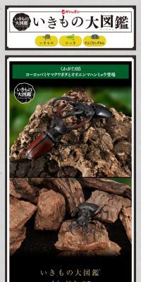 Creature Encyclopedia Stag Beetle 5 LP design (Toys, Hobbies & Figures / Black-colored / Cool style) PC version
