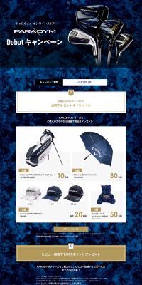 PARADYM Debut Campaign LP design (Events, Campaigns, Experiences / Shades of blue / Stylish type) PC version