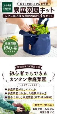 はじめての家庭菜園キット「サラダガーデン」のLPデザイン（花・観葉植物・造花／ホワイト系／ナチュラル系）スマホ版