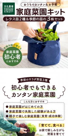 はじめての家庭菜園キット「サラダガーデン」のLPデザイン（花・観葉植物・造花／ホワイト系／ナチュラル系）スマホ版