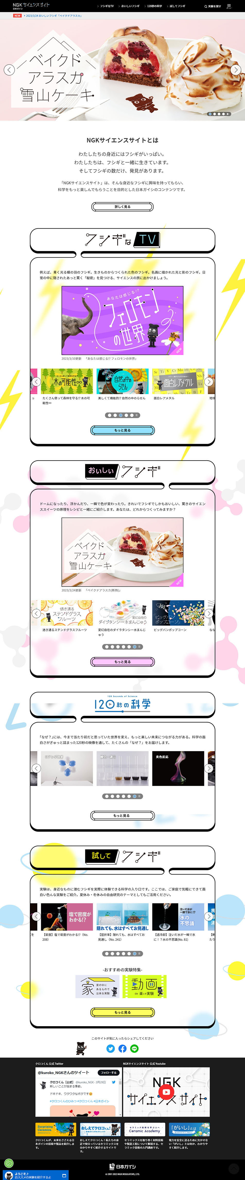 NGK Science Site LP design (Businesses, companies, stores / Multi-color type / Cool style) PC version