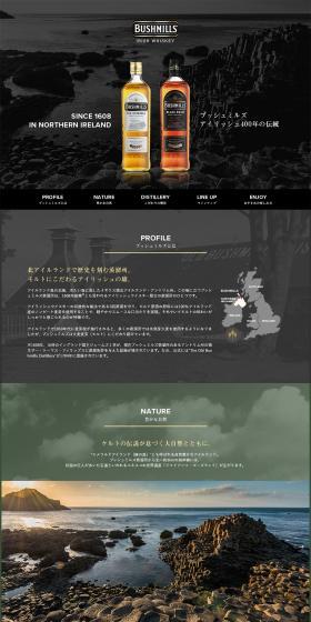 Irish Whiskey Bushmills LP design (win_champagne / Black-colored / Simple) PC version