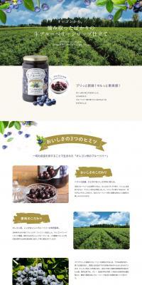 Fresh blueberries from Oregon LP design (fruit-vegetable / Green tones / Organic) PC version