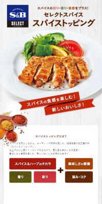 スパイストッピングのLPデザイン（調味料・甘味料・ダシ・スープ／カラフル系／にぎやか系）スマホ版