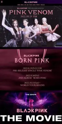 blackpinkのLPデザイン(ミュージカル・コンサート/ピンク系/かっこいい系)PC版