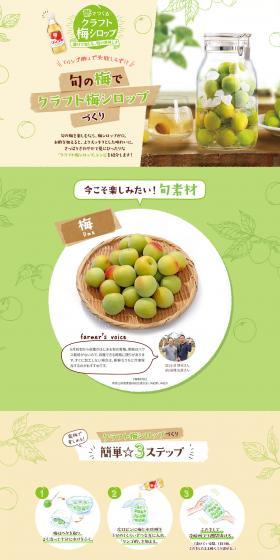 Craft Ume Syrup Recipe Made with Vinegar LP design (Prepared foods, dishes, and cuisine / Green tones / Natural style) PC version