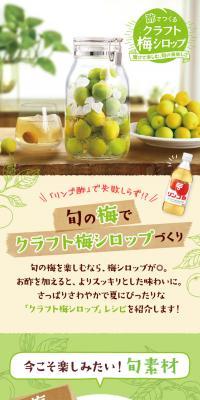 酢でつくるクラフト梅シロップレシピのLPデザイン（惣菜・おかず・料理／グリーン系／ナチュラル系）スマホ版