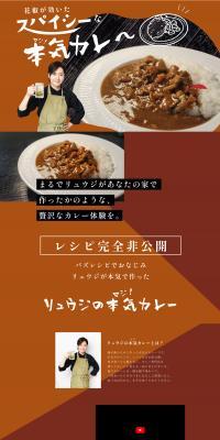 Ryuji's Serious Curry LP design (Retort / Instant / Brown tones / Strong) PC version