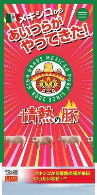 情熱の豚のLPデザイン（肉・肉加工品／カラフル系／力強い系）スマホ版