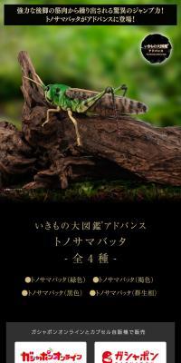 いきもの大図鑑アドバンス トノサマバッタのLPデザイン（玩具・ホビー・フィギュア／ブラック系／スタイリッシュ系）スマホ版