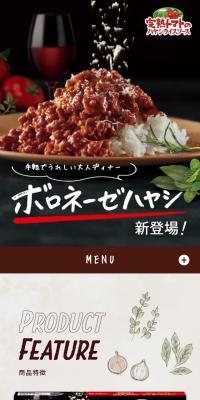 ボロネーゼハヤシのLPデザイン（惣菜・おかず・料理／ベージュ系／にぎやか系）スマホ版