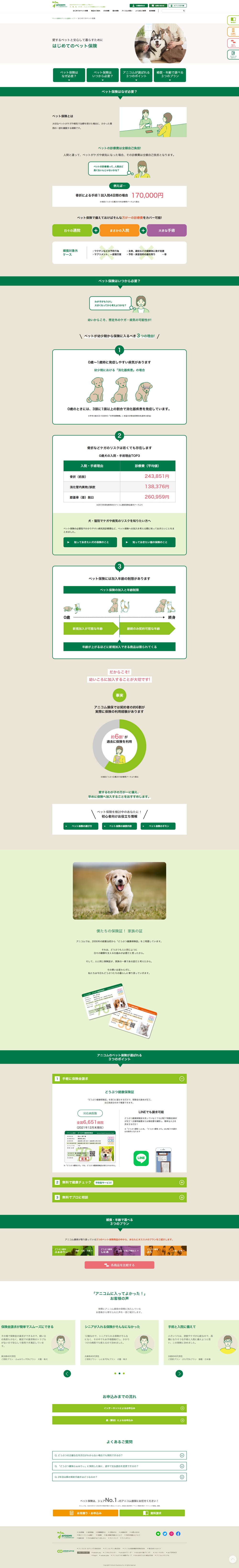 Anicom: Your First Pet Insurance LP design (Insurance, Finance, Credit / White-based / Simple) PC version