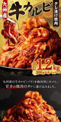 国産牛カルビタレ漬け焼肉(九州産)のLPデザイン（肉・肉加工品／ブラック系／和風系）スマホ版