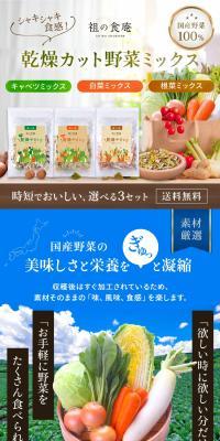 Dried Cut Vegetable Mix LP design (fruit-vegetable / Brown tones / Trust and Safety) PC version