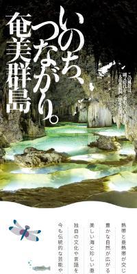 いのち、つながり。奄美群島のLPデザイン（国内旅行・海外旅行／グリーン系／かわいい系）スマホ版