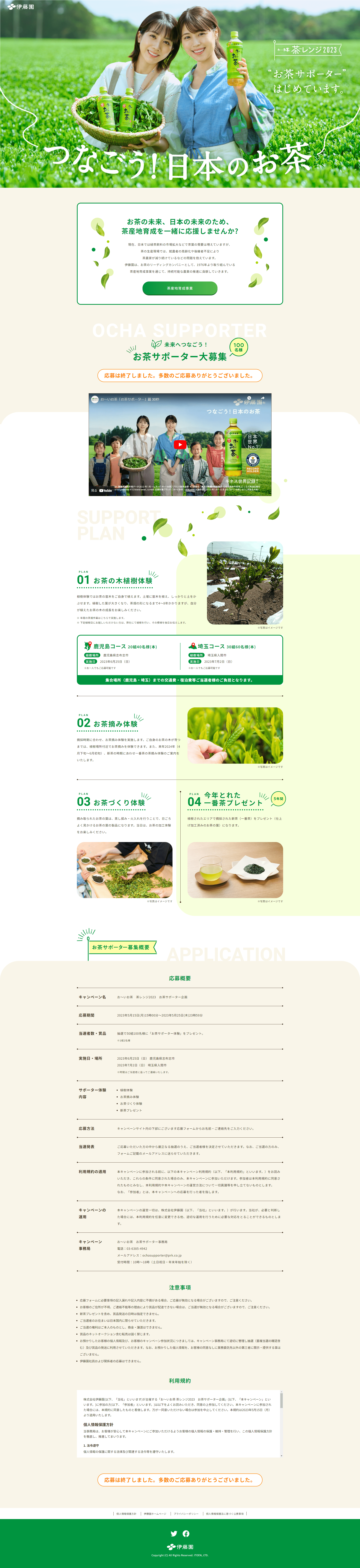 Oi Ocha LP design (Events, Campaigns, Experiences / Green tones / Simple) PC version