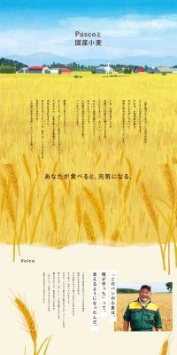 Pasco and Japanese Wheat LP design (Noodles, Bread, and Flour-based Foods / Shades of blue / Organic) PC version