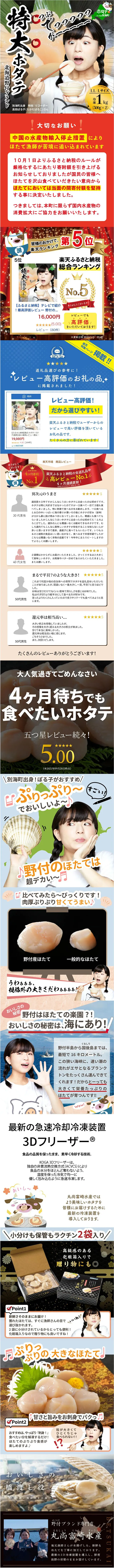 ほたて貝柱のLPデザイン（魚介類・海産物／カラフル系／和風系）スマホ版
