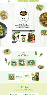 S&B Baby Leaf LP design (fruit-vegetable / Green tones / Health and Wellness) PC version