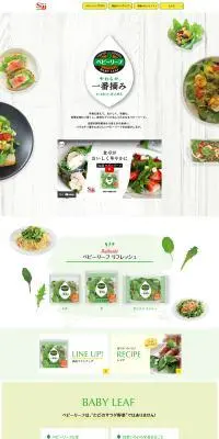 S&B ベビーリーフのLPデザイン（フルーツ・果物・野菜／グリーン系／健康・癒し系）PC版