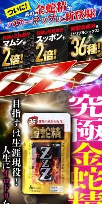 金蛇精ZZZのLPデザイン（健康食品・健康ドリンク・サプリメント／ブラック系／力強い系）スマホ版