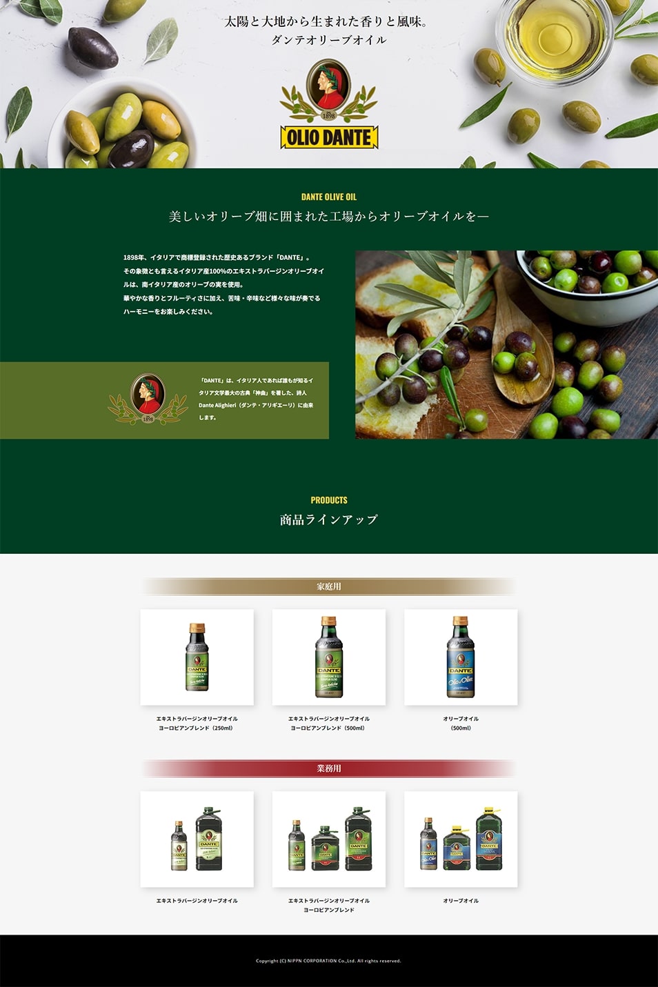 OLIIODANTE LP design (Seasonings, Sweeteners, Broth, Soup / Green tones / Simple) PC version