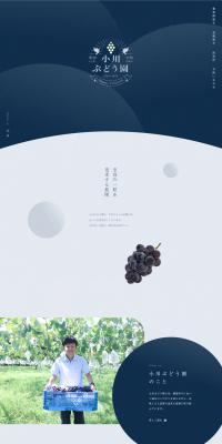 Ogawa Budouen LP design (Businesses, companies, stores / Shades of blue / Trust and Safety) PC version