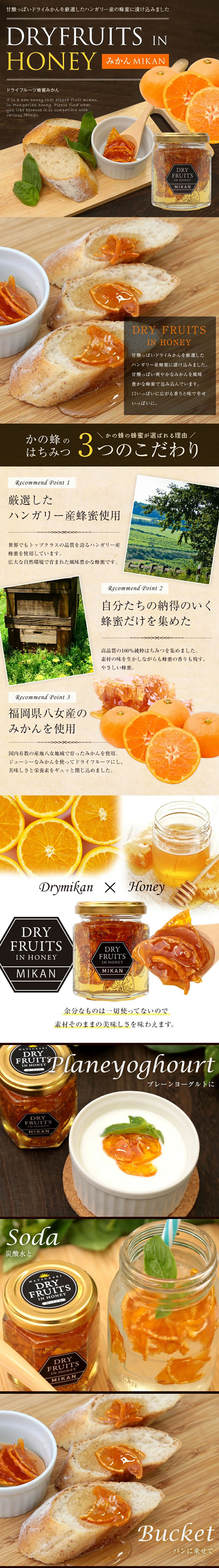 ドライフルーツインハニーのLPデザイン（フルーツ・果物・野菜／ベージュ系／信頼・安心系）PC版