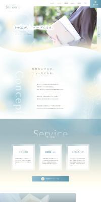 Public Relations Support LP design (Businesses, companies, stores / Shades of blue / Refined style) PC version