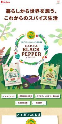 C.A.M.A ブラックペッパーのLPデザイン（調味料・甘味料・ダシ・スープ／ベージュ系／ナチュラル系）スマホ版