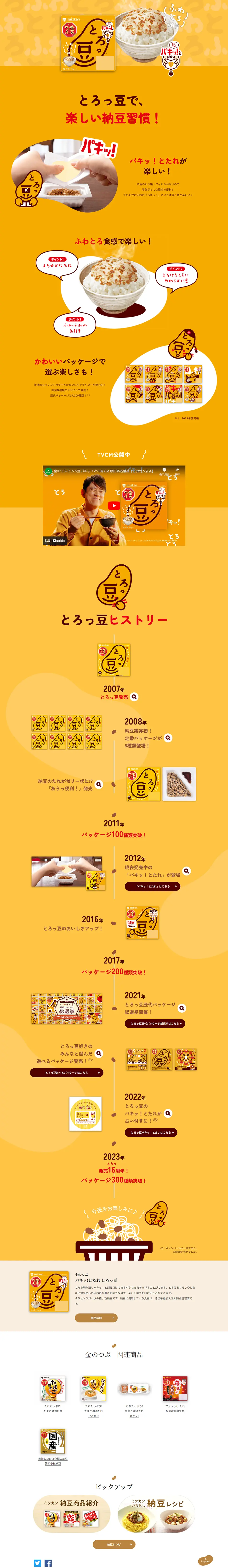 金のつぶ パキッ！とたれ「とろっ豆」のLPデザイン（豆・豆加工品／オレンジ系／にぎやか系）PC版