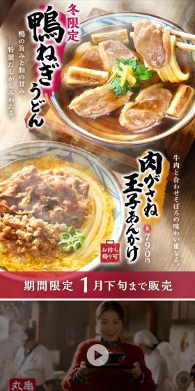鴨ねぎうどん 肉がさね玉子あんかけのLPデザイン（麺・パン・粉物／ゴールド系／和風系）スマホ版