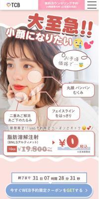 脂肪溶解注射のLPデザイン（エステ・脱毛・増毛・整形／レッド系／かわいい系）スマホ版