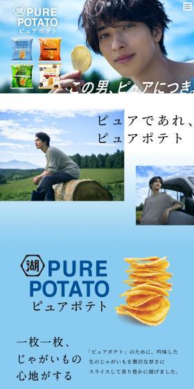 Pure Potato LP design (Snack foods, gum, and candy / Shades of blue / Simple) PC version