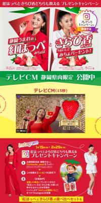 Benihoppe and Kirapika Campaign Special Website LP design (Events, Campaigns, Gifts / Red tones / Cute style) PC version