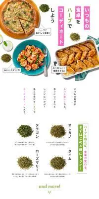 いつもの食卓をハーブでコーディネートしようのLPデザイン（調味料・甘味料・ダシ・スープ／グリーン系／にぎやか系）PC版