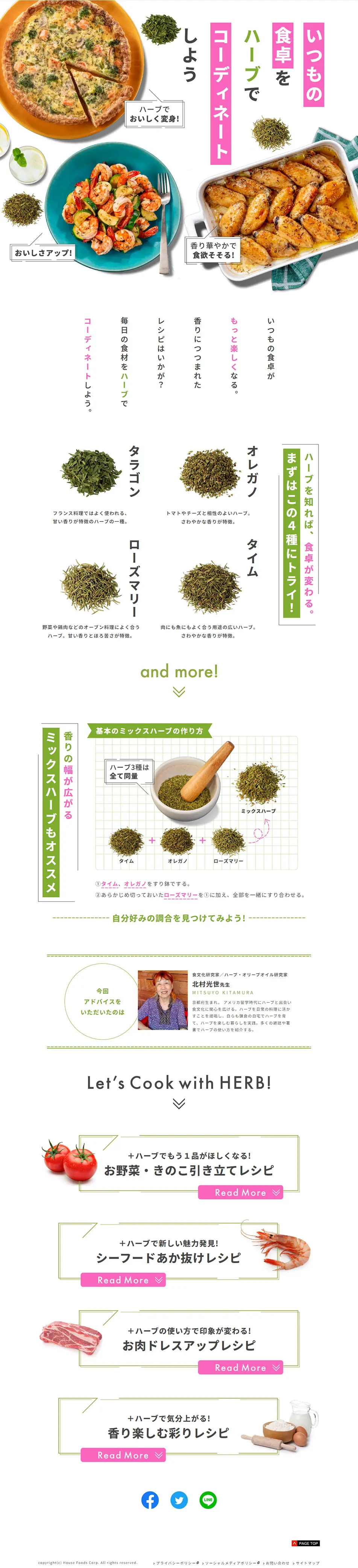 いつもの食卓をハーブでコーディネートしようのLPデザイン（調味料・甘味料・ダシ・スープ／グリーン系／にぎやか系）PC版
