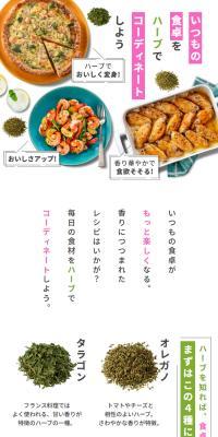 いつもの食卓をハーブでコーディネートしようのLPデザイン（調味料・甘味料・ダシ・スープ／グリーン系／にぎやか系）スマホ版