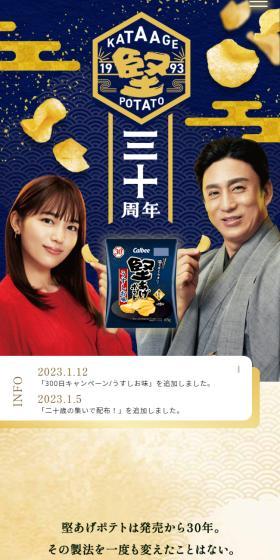 堅あげポテト三十周年記念サイトのLPデザイン（スナック・ガム・あめ・グミ／ベージュ系／和風系）スマホ版